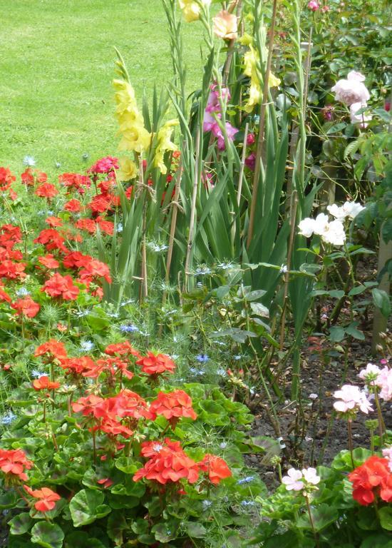 The White Cottage B&B Saint Teath Bagian luar foto
