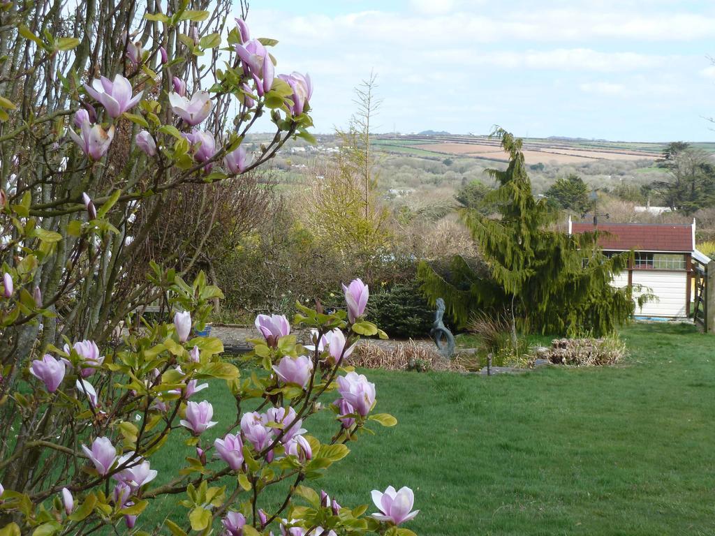 The White Cottage B&B Saint Teath Bagian luar foto