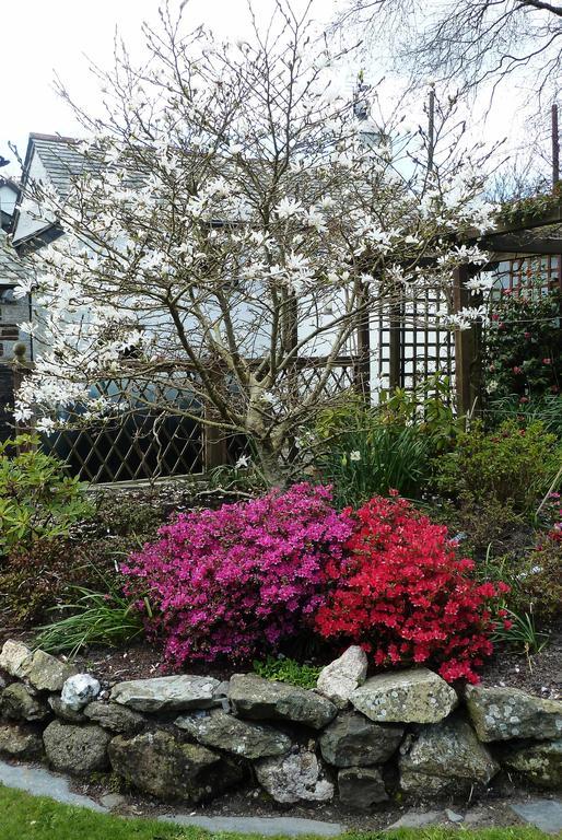 The White Cottage B&B Saint Teath Bagian luar foto