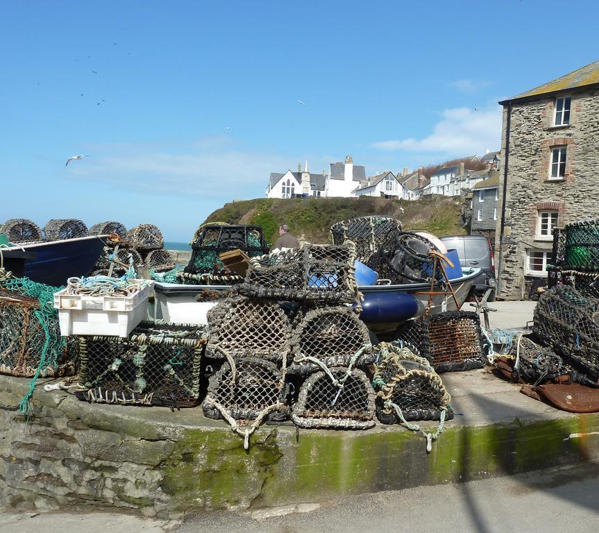 The White Cottage B&B Saint Teath Bagian luar foto