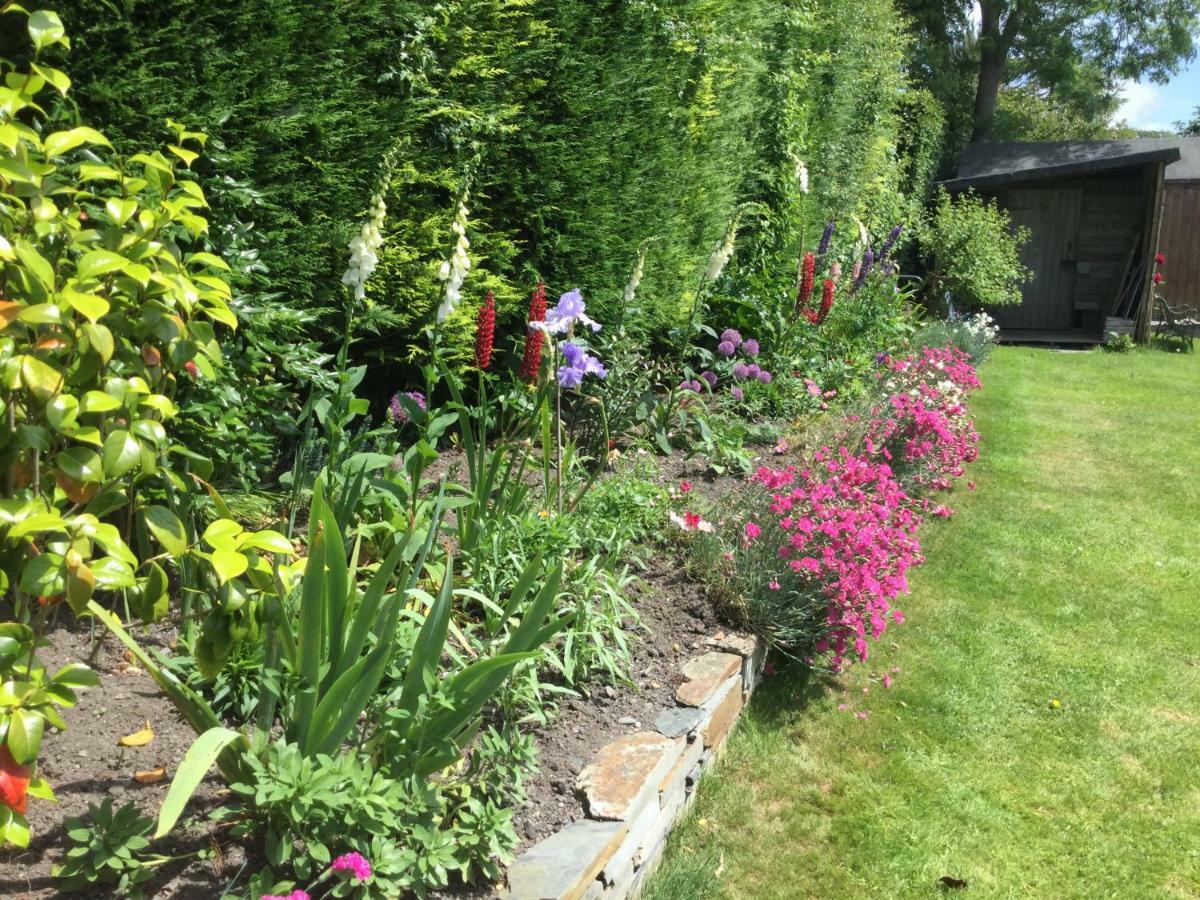 The White Cottage B&B Saint Teath Bagian luar foto