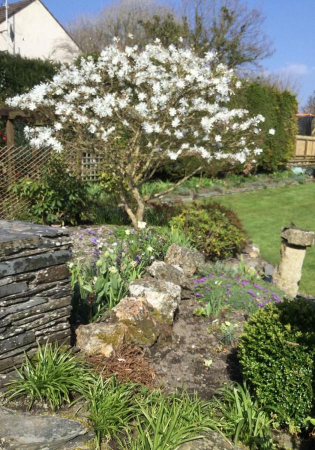 The White Cottage B&B Saint Teath Bagian luar foto